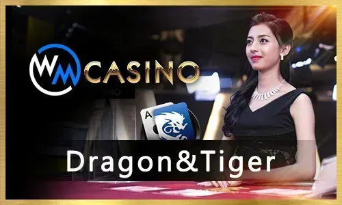 Taya333 Casino Table Games
